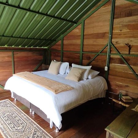 Ecohotel Pinohermoso Reserva Natural Salento Eksteriør billede