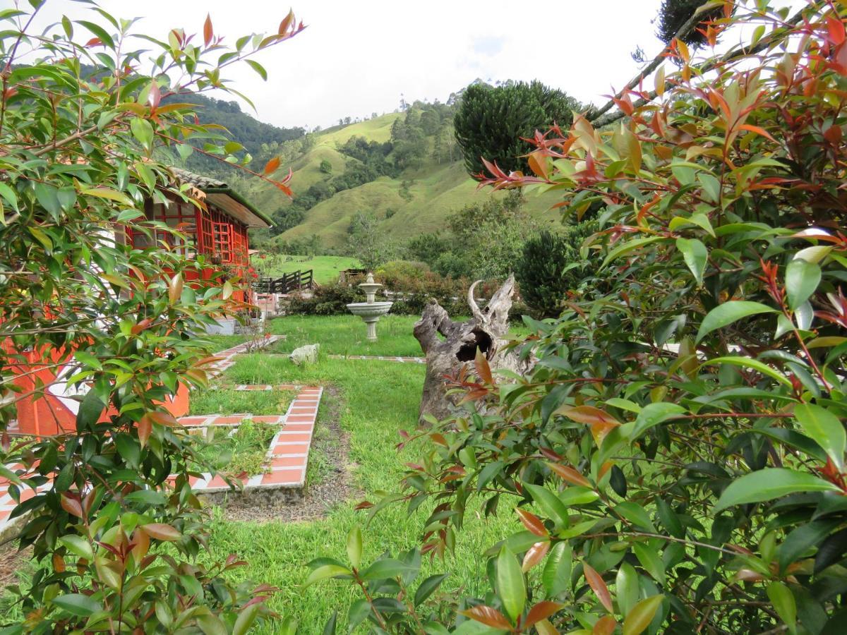 Ecohotel Pinohermoso Reserva Natural Salento Eksteriør billede