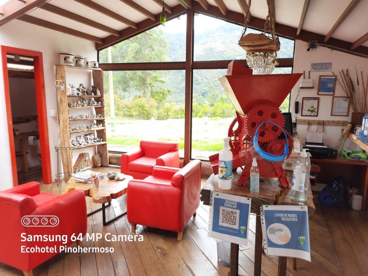 Ecohotel Pinohermoso Reserva Natural Salento Eksteriør billede