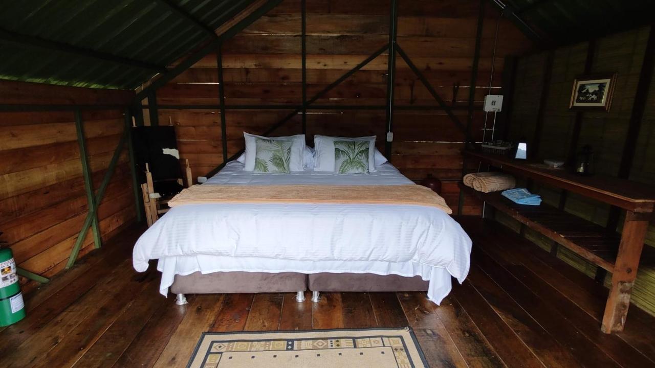 Ecohotel Pinohermoso Reserva Natural Salento Eksteriør billede
