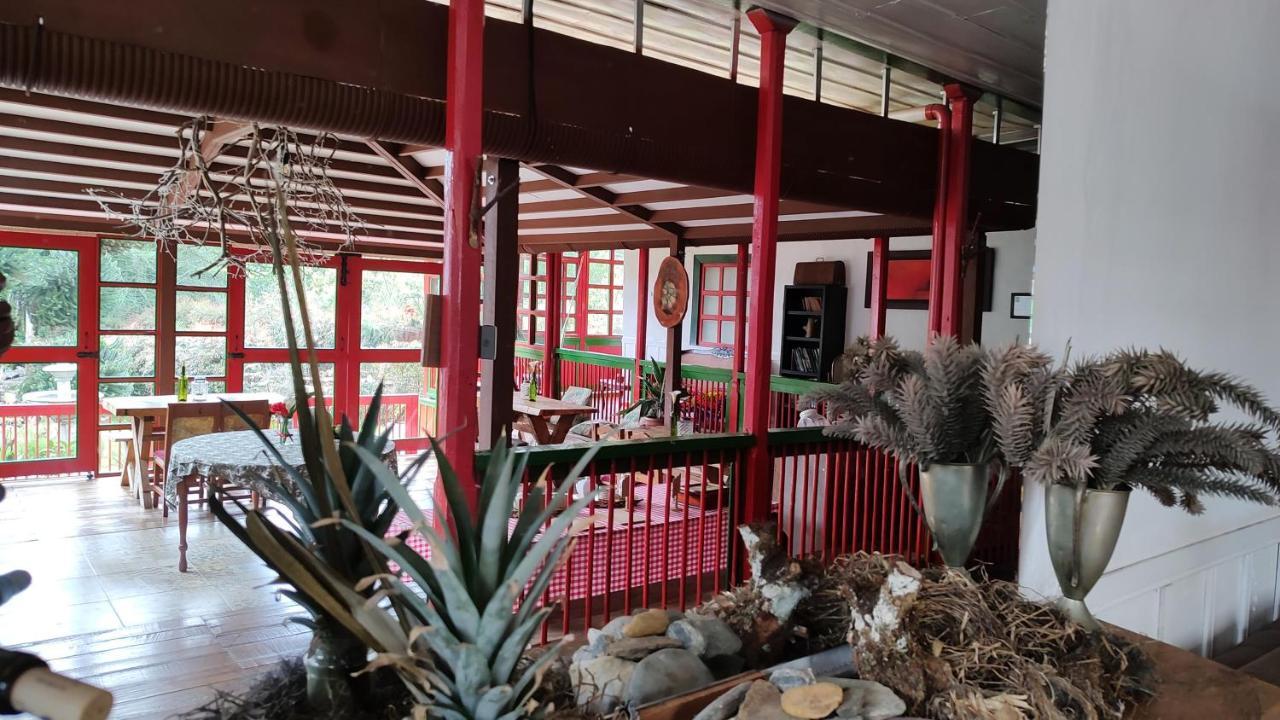 Ecohotel Pinohermoso Reserva Natural Salento Eksteriør billede