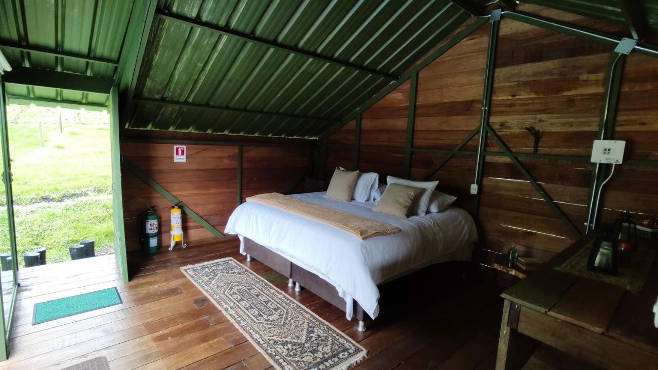 Ecohotel Pinohermoso Reserva Natural Salento Eksteriør billede