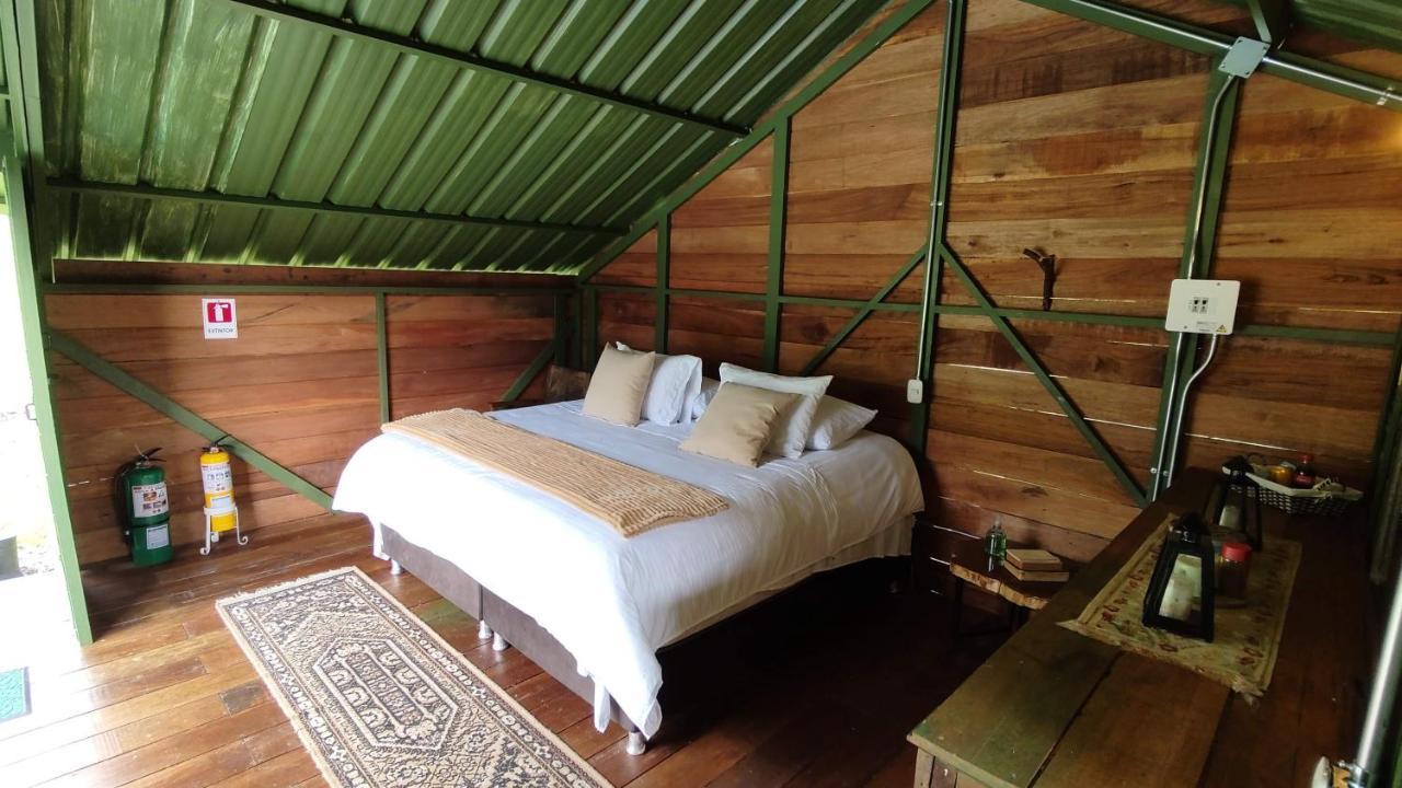 Ecohotel Pinohermoso Reserva Natural Salento Eksteriør billede