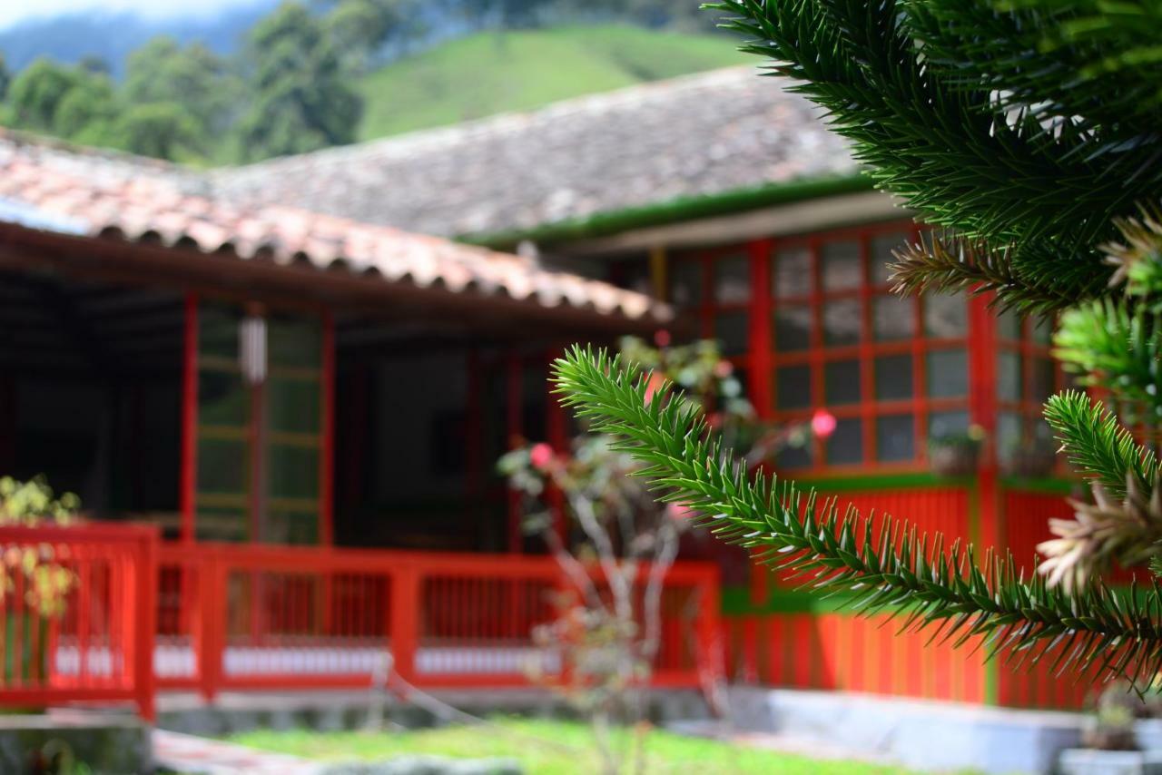 Ecohotel Pinohermoso Reserva Natural Salento Eksteriør billede