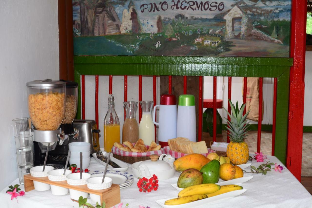 Ecohotel Pinohermoso Reserva Natural Salento Eksteriør billede