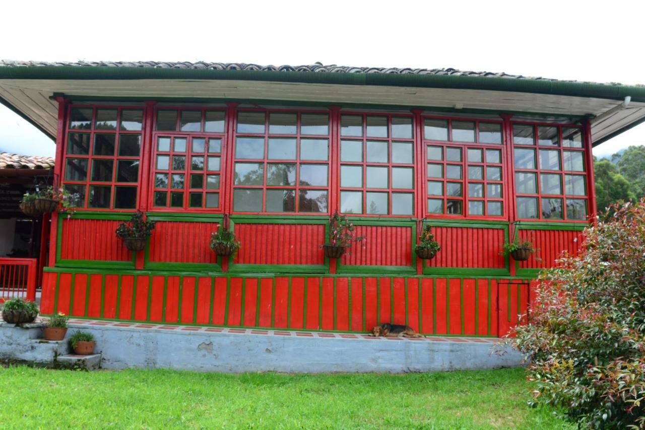 Ecohotel Pinohermoso Reserva Natural Salento Eksteriør billede