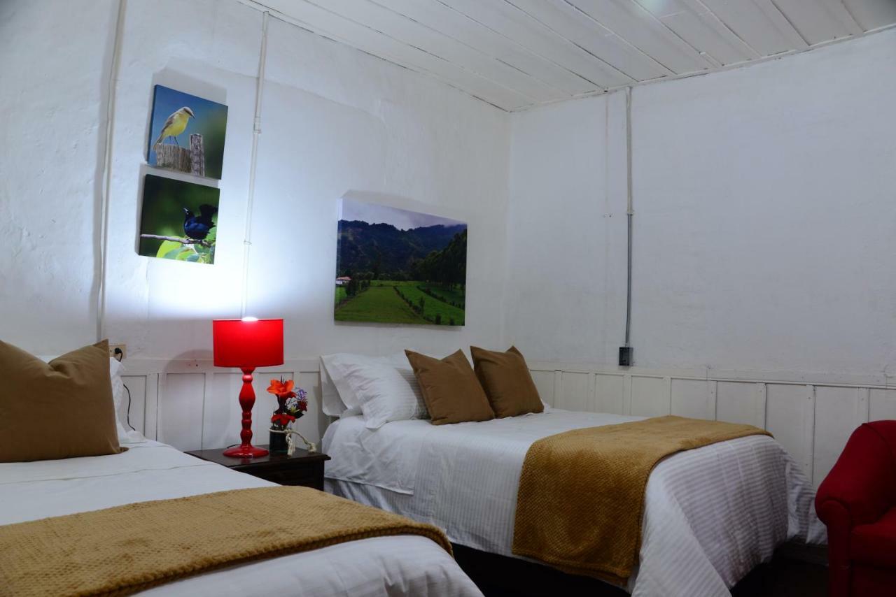 Ecohotel Pinohermoso Reserva Natural Salento Eksteriør billede