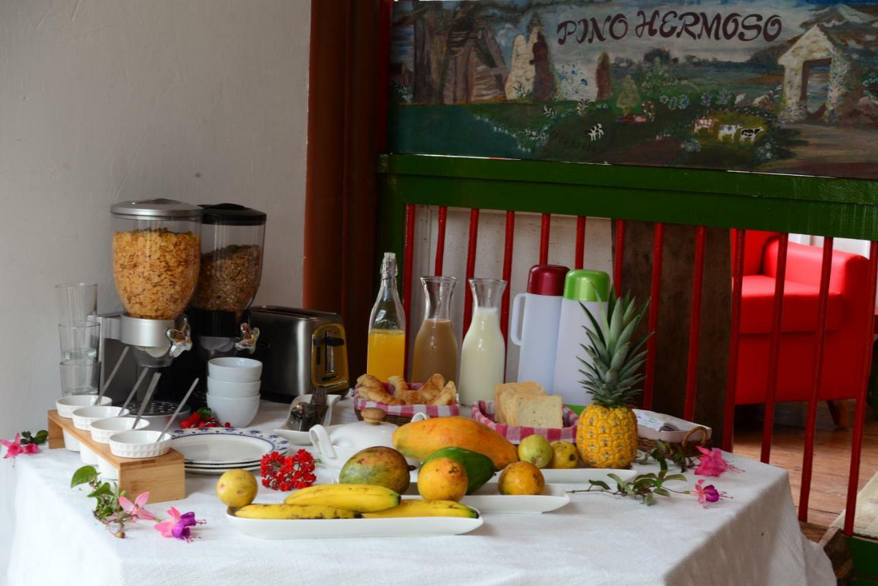 Ecohotel Pinohermoso Reserva Natural Salento Eksteriør billede