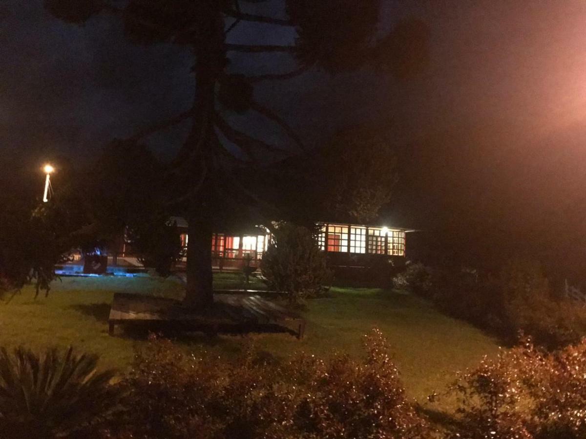 Ecohotel Pinohermoso Reserva Natural Salento Eksteriør billede