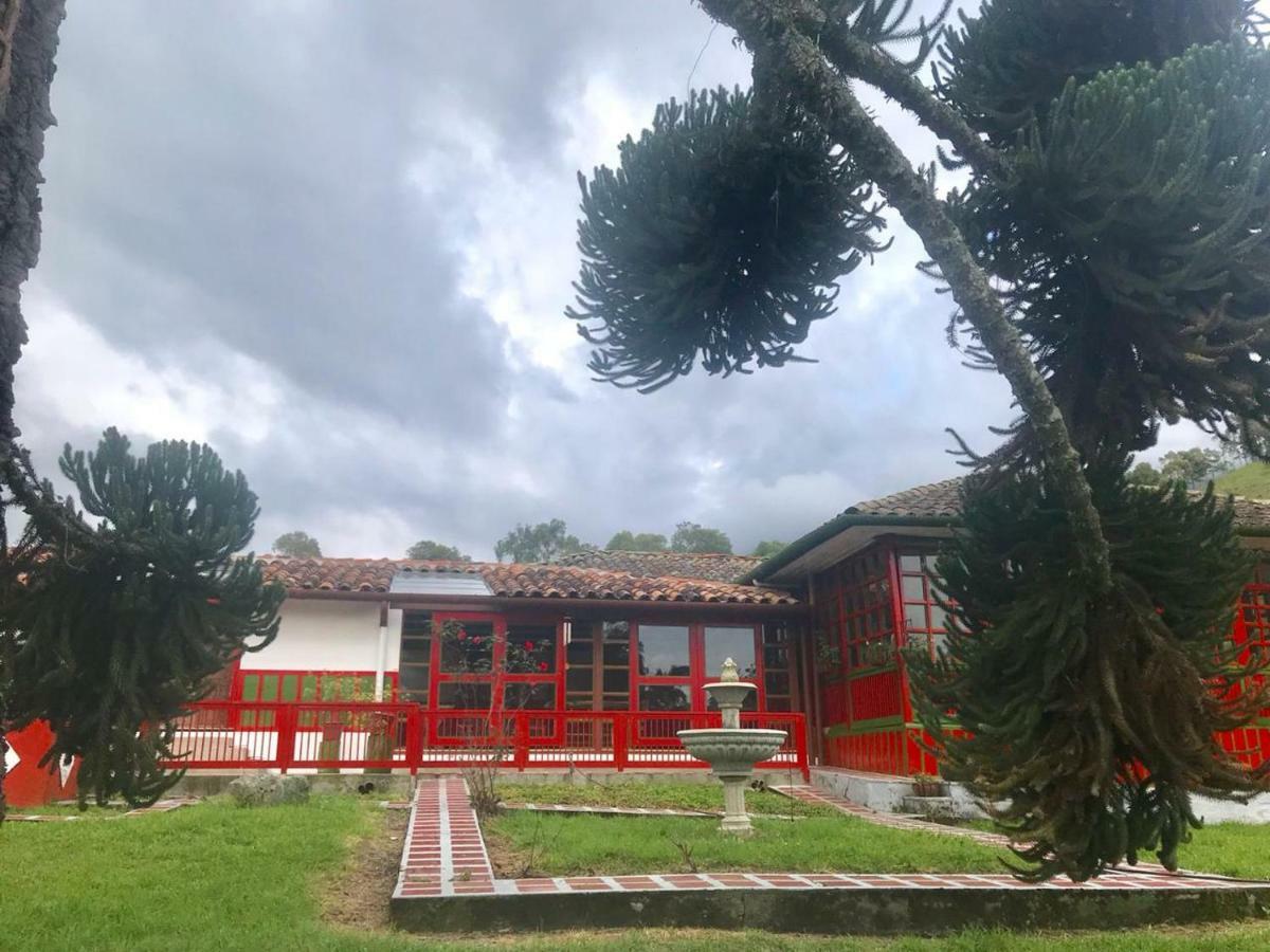 Ecohotel Pinohermoso Reserva Natural Salento Eksteriør billede