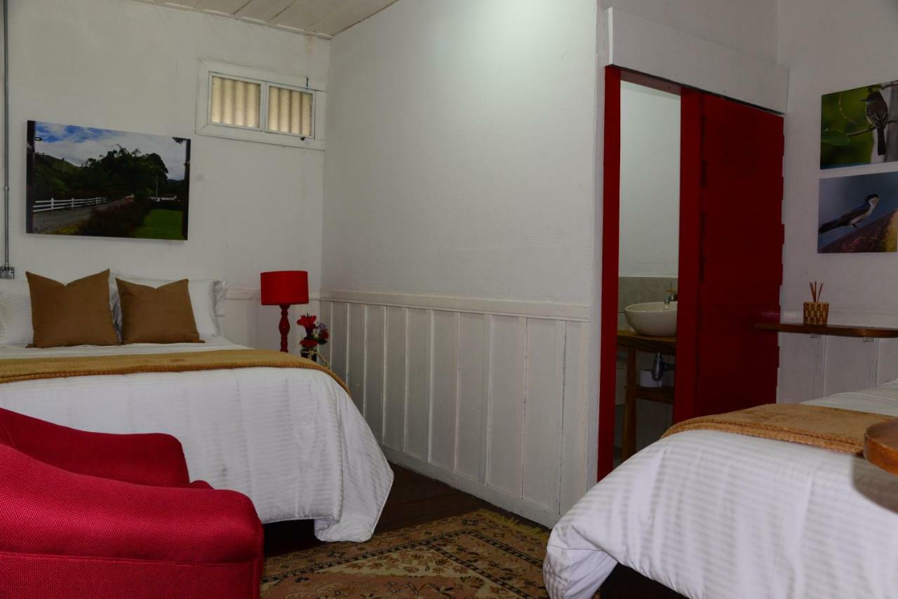 Ecohotel Pinohermoso Reserva Natural Salento Eksteriør billede